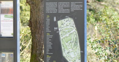 À la recherche des korrigans au Jardin des plantes À la recherche des korrigans au Jardin des plantes