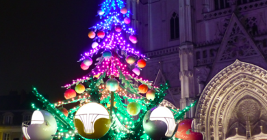 (2×2 places à Gagner) pour le manège Sapin à Nantes (2×2 places à Gagner) pour le manège Sapin à Nantes