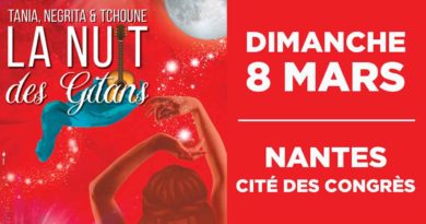 2×2 places à gagner pour le spectacle « La Nuit des Gitans » 2×2 places à gagner pour le spectacle « La Nuit des Gitans »